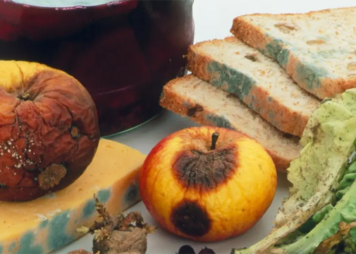 上海進(jìn)口食品銷毀流程