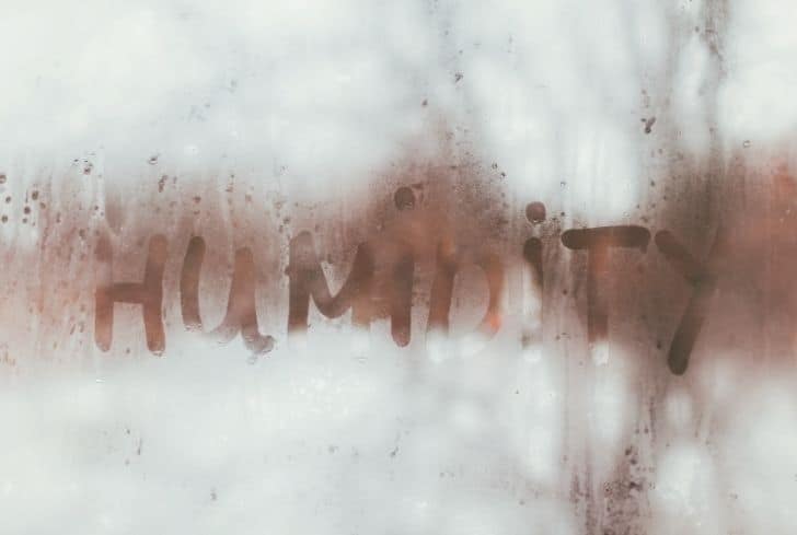 潮濕是如何造成空氣污染的？